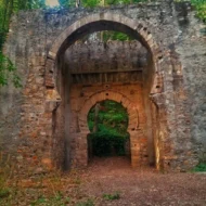 Lav, veštica i bilje vilinog vrta 100g - Image 2