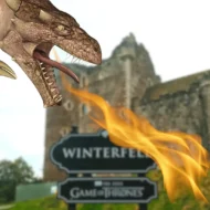 Oklop zmajevog jajeta 100g