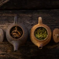 Oklop zmajevog jajeta 100g - Image 2