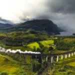 Prašina sa hipogrifovog krila 100g