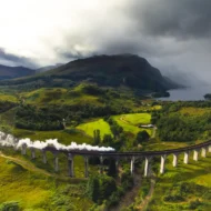 Prašina sa hipogrifovog krila 100g