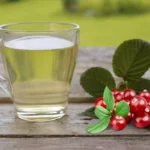 Čaj Brusnica list 100g