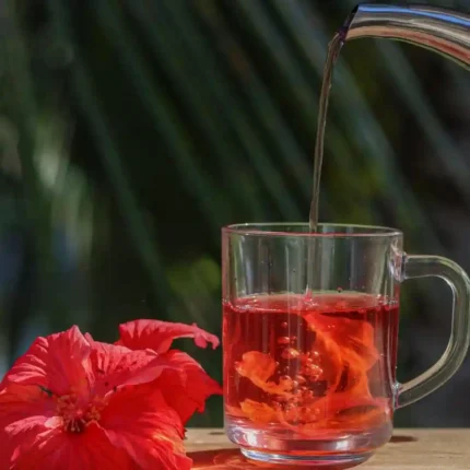 Čaj Hibiskus 100g